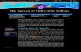 The Spread of Hellenistic Culture › downloads › basic › 584684 › ch5_5.pdf tive centers and outposts of Greek culture. These cities, from Egyptian Alexandria in the south to