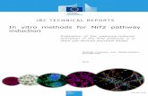 In vitro methods for Nrf2 pathway inductionpublications.jrc.ec.europa.eu/repository/bitstream... · screening and development of new in vitro testing strategies in the field of toxicology,