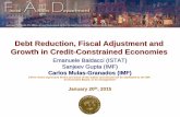 Debt Reduction, Fiscal Adjustment and Growth in Credit … · Debt Reduction, Fiscal Adjustment and Growth in Credit-Constrained Economies Emanuele Baldacci (ISTAT) Sanjeev Gupta