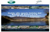 Guida alle specie ittiche del Bacino di Pesca n.12 “Lago di Corlo e …402340012972108326.weebly.com/uploads/1/0/7/6/10769518/opusc… · Guida alle specie ittiche del Bacino di