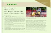 Getting to of Tree Stability - Bartlett · For oaks and most other trees, roots extend out from the trunk at least as far as the dripline As a result, trenching through roots is almost