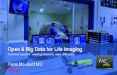 Open & Big Data for Life Imaging - Inriajust digging and computing ... NoSQL - Cassandra, MongoDB. Security API encrypted communication SSL tunnelling / VPN API data access only controlled