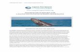 €¦ · The abundance of single adult gray whales (whales not accompanied by a calf of the year) reached a high count of 213 whales on 12 February, after which their abundance declined