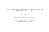 Lecture 2: Isoperimetric methods for the curve-shortening ... · Lecture 2: Isoperimetric methods for the curve-shortening ﬂow and for the Ricci ﬂow on surfaces ... For a metric