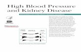High Blood Pressure and Kidney Disease - Pronto …...5 High Blood Pressure and Kidney Disease Urine Tests Dipstick test for albumin. A dipstick test performed on a urine sample can