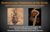 Endovascular Treatment of the Aorta - NMSuite...Endovascular Treatment of the Aorta with Fenestrated and Branched Grafts Eric LG Verhoeven,MD, PhD, A. Katsargyris, MD Vascular and