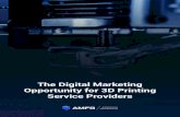 The Digital Marketing Opportunity for 3D Printing …...Specific expertise/area of focus (e.g. metal 3D printing, prototyping, end-part production) Metal 3D printing is an example