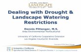 Dealing with Drought & Landscape Watering …Dealing with Drought & Landscape Watering Restrictions Dennis Pittenger, M.S. Area Environmental Horticulturist University of California