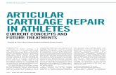 arTicular carTilaGe rePair in aTHleTeS › journal › upload › PDF › 2013112593626.pdf · a tissue engineering solution has been successfully applied in orthopaedic patients.
