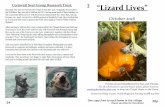 Object 1 Cornwall Seal Group Research Trust. “Lizard Lives” › Magazines › No2-October16.pdf · Cornwall Seal Group Research Trust. “Lizard Lives” October 2016 Produced