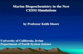 Marine Biogeochemistry in the New CESM …...Marine Biogeochemistry in the New CESM Simulations by Professor Keith Moore University of California, Irvine Department of Earth System