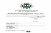 MARULENG LOCAL MUNICIPALITY BID NO : MLM/SCM/01/2018 OF... · maruleng local municipality bid no : mlm/scm/01/2018 bid description: provision of medical survaillance service january