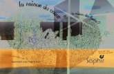 RAPPORT D’ACTIVITÉ 2017 - Fondation Saphir · 2018-07-05 · La Fondation Saphir (anciennement Mont-Riant) a été créée en 1989 et est reconnue d’in-térêt public à but