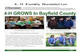 4-H Family Newsletter - Extension Bayfield County › files › 2010 › 12 › ... · PDF file 4-H Family Newsletter Page 1 4-H Family Newsletter Cooperative Extension University