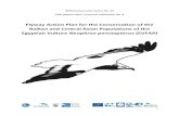 Flyway Action Plan for the Conservation of the Balkan and ...old.lifeneophron.eu/files/docs/1498806463_958.pdf · Europe, Africa and India. It is listed in the EU Birds Directive