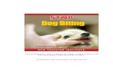 Unauthorized distribution, resale, or copying of this ... › dognews › puppy › StopDogBiting.pdf · Puppy related biting: Every puppy comes pre-wired to bite, but none of his