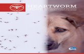 HEARTWORM - AAHA › globalassets › 05-pet-health...Abstract presented at the meeting of the American Association of Veterinary Parasitologists, Boston, MA, July 2015. 9. McCall,