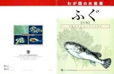 fish-jfrca.jpfish-jfrca.jp/02/pdf/pamphlet/074.pdfCreated Date 7/25/2008 10:54:19 AM