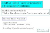 FISICA delle AstroParticelle e Fisica del Neutrino · e-ν τ νε (18%) π+ π− π− ν τ νπο (14%) After neutrino oscillation and subsequent interaction of neutrinotau :
