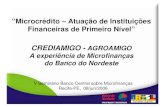 Microcrédito – Atuação de Instituições Financeiras de Primeiro … · 2006-06-12 · AGROAMIGO - METODOLOGIA ESPECÍFICA 1. Unidade de atendimento específica à agricultura