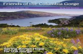 Friends of the Columbia Gorge › assets › friends › PDFs...205 Oak St., Suite 17, Hood River, OR 97031 541-386-5268 Washougal Office: 887 Main St., Suite 202, Washougal, WA 98671