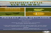 Wonderful Wetlands Infographic Final Copy 0 Wetlands.pdfTitle: Wonderful Wetlands Infographic_Final Copy 0.2 Author: Gina Gambacorto Keywords: DAD0RXW6xAw,BAB_ku9sUiE Created Date: