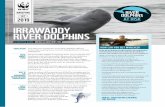 BRIEFING RIVER INT DOLPHINS 2019 AT RISK IRRAWADDY RIVER ...€¦ · river dolphin populations in Asia and South America and will have restored and doubled the most threatened populations.