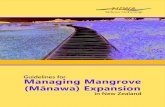 Guidelines for Managing Mangrove (Mānawa) Expansion · 7 ا Guidelines for Managing Mangrove Expansion in New Zealand Healthy mangrove stand in Waikareao Estuary, Tauranga Harbour.