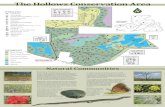 The Hollows Conservation Area Sites/Hollows-brochure_2019-Septem… · Done with the map? Recycle it by placing it back in the brochure holder for the next visitor. 09/2019 update