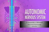 Dr Karamallah S. Mahmoodpharmacy.uobasrah.edu.iq/images/stage_three/Pharmacology_I/1 AN… · PhD Clinical Pharmacology 03/03/2019 . 2 The Nervous System . 3 INTRODUCTION TO THE NERVOUS