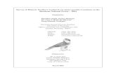 Survey of Historic Northern Goshawk (Accipiter gentilis ... · PDF file Survey of Historic Northern Goshawk (Accipiter gentilis) Locations on the Shoshone National Forest ~ 2004 ...