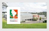 PROMOSUL foi inaugurada em 1996 e...A PROMOSUL foi inaugurada em 1996 e suriu da necessidade da cidade de São Bento do Sul ter seu próprio espaço para impulsionar sua economia,