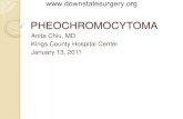 Pheochromocytoma - SUNY Downstate Medical CenterThe incidence of pheochromocytomas among pati對ents who have adrenal incidentalomas is reported to be between 1.5% and 11%.21 A recent