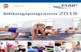 Bildungsprogramm 2018 - Landessportbund Brandenburg · Bildungsprogramm 2018. sind Starke Leistungen zu einem unveränderten Beitragssatz. Wir sind günstiger als der Kassendurchschnitt