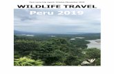 Peru recce trip report, October/November 2019 WILDLIFE …Peru recce trip report, October/November 2019 ENGLISH NAME SCIENTIFIC NAME 1 2 Roadside Hawk Rupornis magnirostris Family