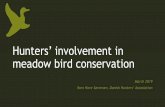 Hunters’ involvement in - FACE · 2019-03-06 · Hunters’ involvement in meadow bird conservation Iben Hove Sørensen Danish Hunters’ Association ihs@jaegerne.dk • Lots of