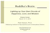 Lighting up Your Own Circuits of Happiness, Love, and Wisdom › slidesets › SlidesKripalu2010.pdf · Lighting up Your Own Circuits of Happiness, Love, and Wisdom Kripalu Center
