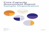 Sample Organization Assessment Report Core Capacity · TCC GROUP CCAT REPORT SAMPLE ORGANIZATION 9. Your Leadership Capacity Leadership Capacity is the ability of all organizational