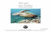 environmentalunit.com › Documentation › 04... · Oil and . Sea Turtles. BIOLOGY, PLANNING, AND RESPONSE. Gary Shigenaka, Technical Editor. Contributing Authors Sarah Milton and