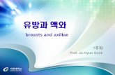 breasts and axillae - KOCWcontents.kocw.net › KOCW › document › 2015 › gachon › johyunsook › … · 유방의 구역 1) 유방은 4개의 구역과 스펜스꼬리 포함
