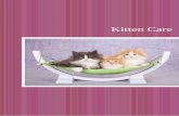 Kitten Care - Your Pets Are Part Of Our Family Too · 2019-07-10 · Litter Tray balanced for all your kitten’s needs. Some pet foods in A litter tray is essential even if you are