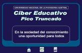 UNIVERSIDAD NACIONAL DE LA PATAGONIA AUSTRAL Ciber … › sites › default › files... · Gobierno d e la Provincia de Santa Cruz - Municipio - Universidad Nacional de la Patagonia