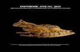 INFORME ANUAL 2015 - Amphibian Rescueamphibianrescue.org/amphibianwordpress/wp-content/... · Foundation sobre la nutrición del renacuajo para investigar el papel del contenido de