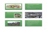 linda GREEN ROOF OCAPP STORMWATER PRESENTATION [Read …epa.ohio.gov/Portals/41/storm_workshop/linda GREEN ROOF.pdf · Presentation Outline History - Abridged Benefits Types Construction