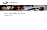Wat werkt bij opvoedsteun - Nederlands Jeugdinstituut · Wat werkt bij geïndiceerde opvoedprogramma’s gericht op klinische zorg en behandeling voor gezinnen met vastgestelde problemen