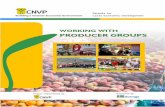 WORKING WITH PRODUCER GROUPS - CNVP Foundation › uploads › documents › 172 › FLED Working... · Working with Producer groups Content Content 1 Abbreviations 1 1. Introduction: