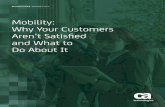 Mobility: Why Your Customers Aren’t Satisfied and …...9 | RESEARCH PAPER: MOBILITY: WHY YOUR CUSTOMERS AREN’T SATISFIED AND WHAT TO DO ABOUT IT a.comc A similar study conducted
