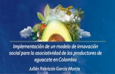 PRESENTACIÓN: Implementación de un modelo de innovación ... · Plan de capacitación en modelos de mercadeo Tipo de Innovación Productos derivados del aguacate ... Participación