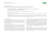 Case Report A Case of Lymphangioma of the Anal Case Report A Case of Lymphangioma of the Anal Canal Kyriacos Karapashis , Maria Isaia , Antonia Fotiou , Theodora Kalli, Ioannis Michaelides,