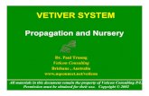 9 PT propagation - vetiver.org Workshop PPT/KUW-PPT10.pdf · Proliferation stage (modified 2 mg BA/liter) carrying out in the shade house will be reduce 13% production cost of each